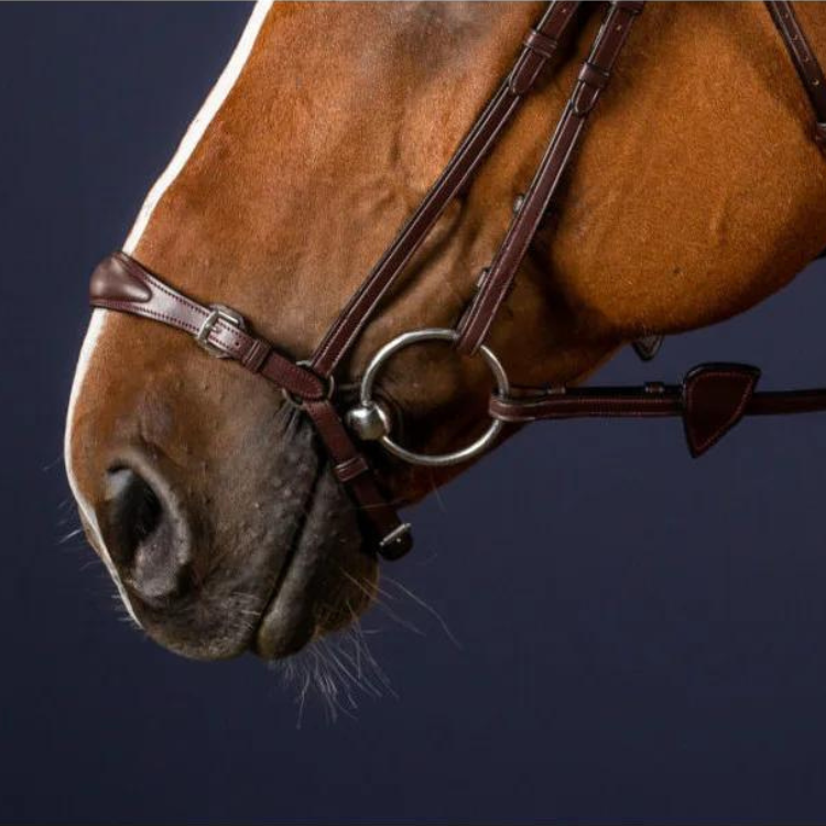 Muserolle Allemande Dy'on Ajustable NEC MARRON