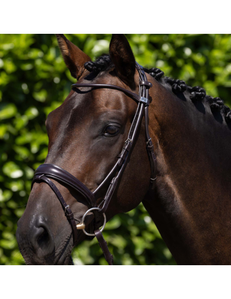 Premier Equine Finetti Rolled Leather Snaffle Bridle Brown