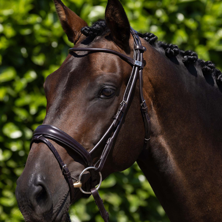 Premier Equine Finetti Rolled Leather Snaffle Bridle Brown