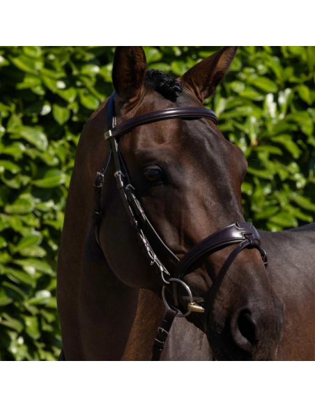 Premier Equine Artana Snaffle Bridle Brown