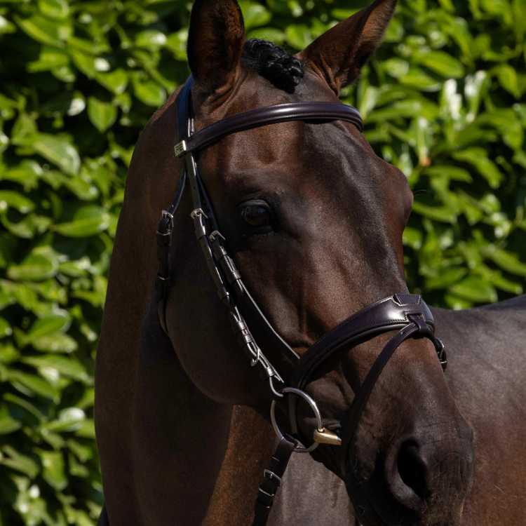Premier Equine Artana Snaffle Bridle Brown