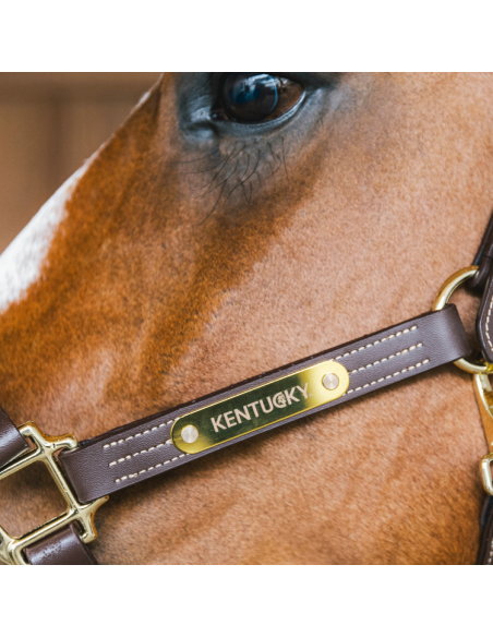 Licol Kentucky Cuir Wellington Marron