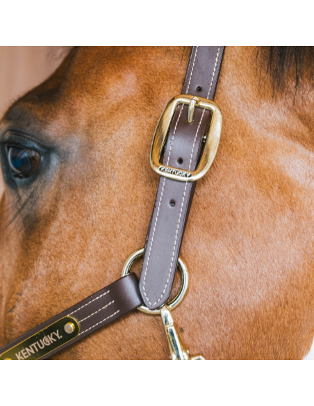 Licol Kentucky Cuir Wellington Marron