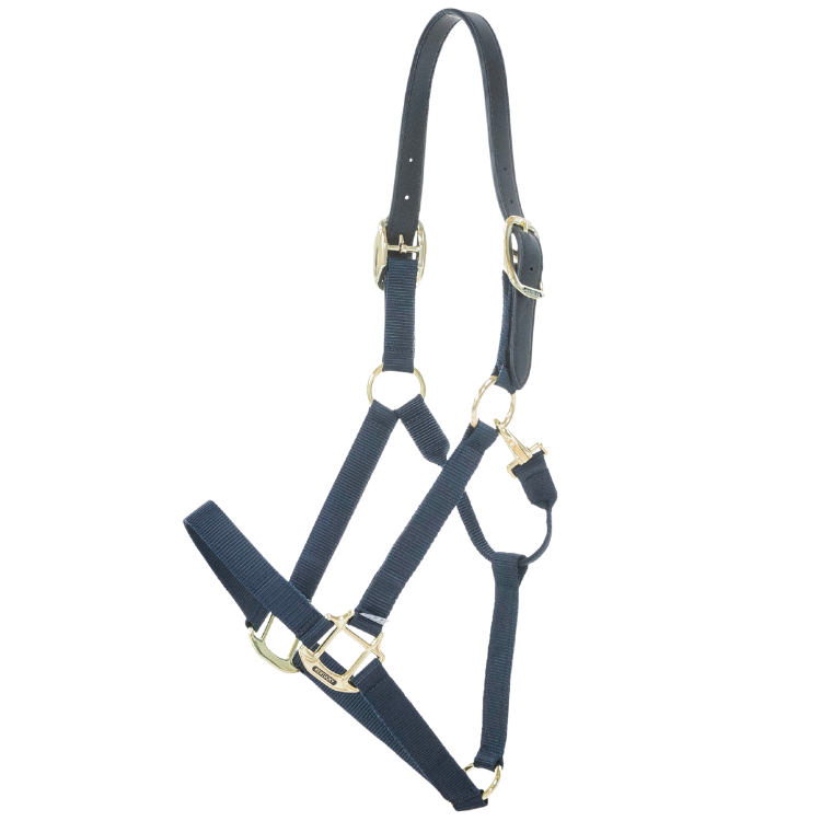 Licol Kentucky Nylon Breakaway Marine