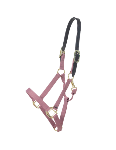 Kentucky Nylon Breakaway Halter Old pink