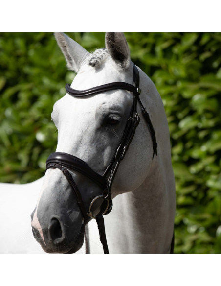 Bridon Premier Equine Anatomique Rizzo Marron