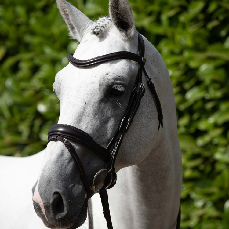 Bridon Premier Equine Anatomique Rizzo Marron