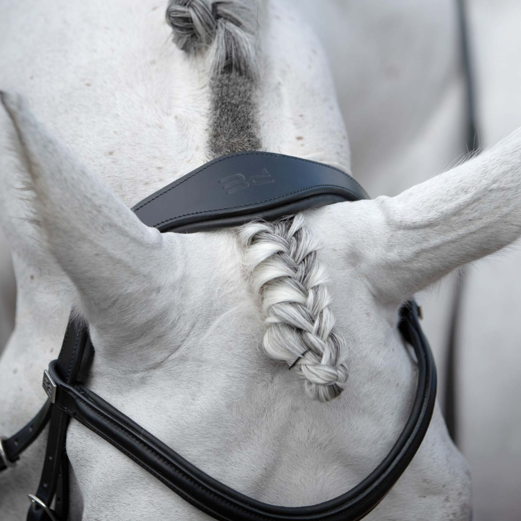 Bridon Premier Equine Anatomique Rizzo Marron