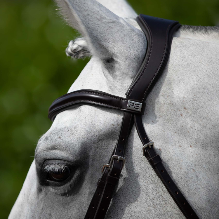 Bridon Premier Equine Anatomique Rizzo Marron