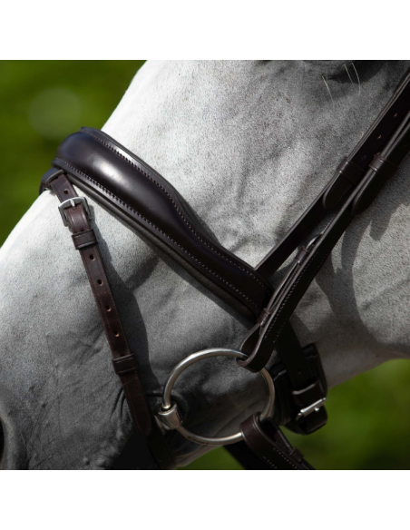 Bridon Premier Equine Anatomique Rizzo Marron