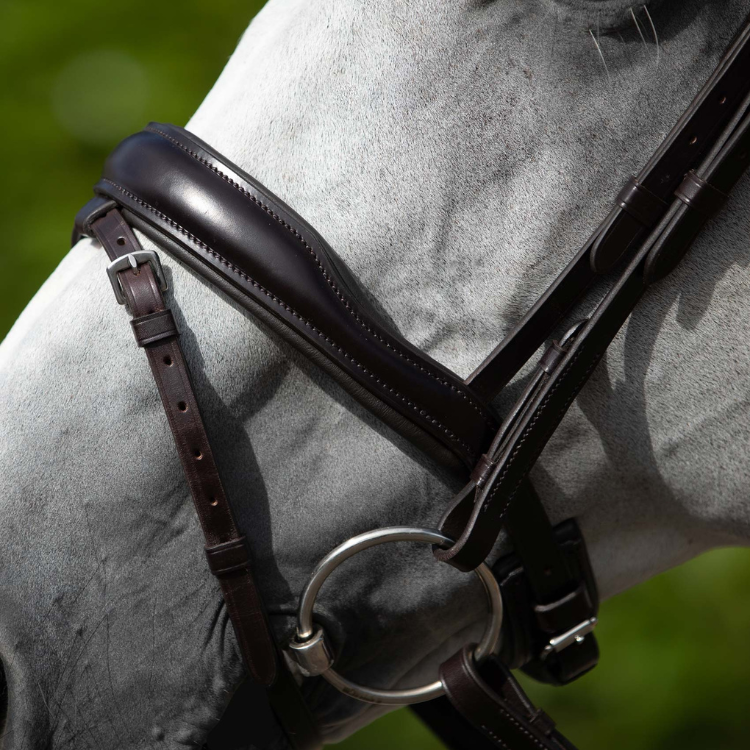 Bridon Premier Equine Anatomique Rizzo Marron