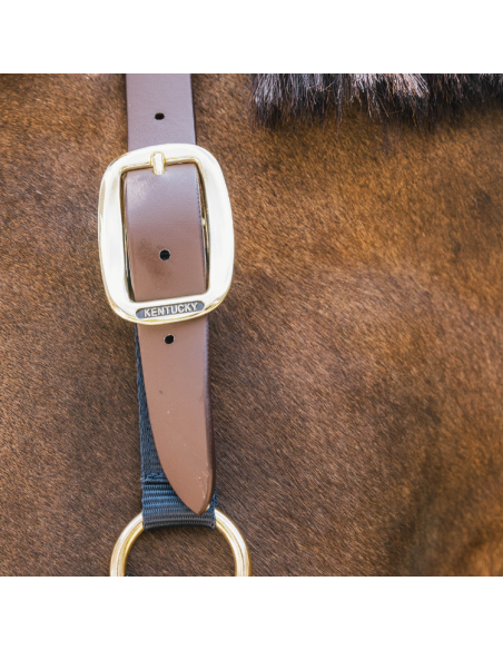 Licol Kentucky Nylon Breakaway Marine