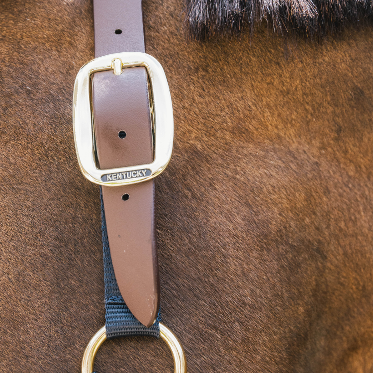 Licol Kentucky Nylon Breakaway Marine