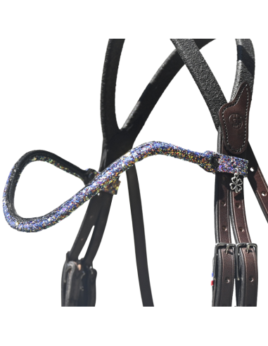 IHWT Disco Browband Multicolor