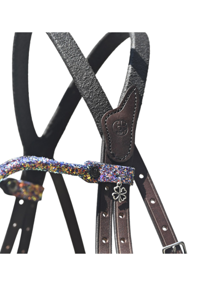 Frontal IHWT Disco Multicolore