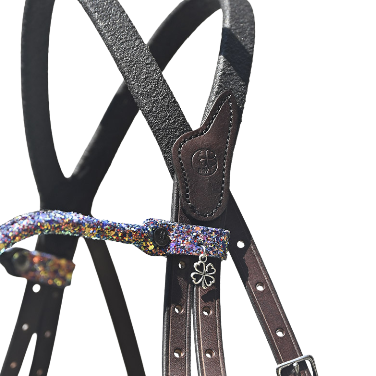 Frontal IHWT Disco Multicolore