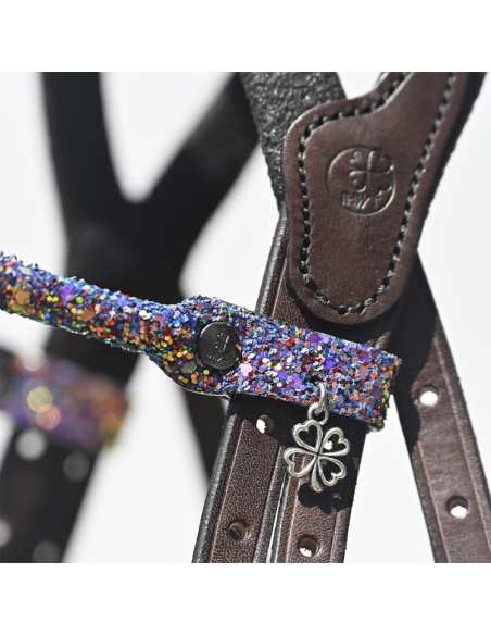 Frontal IHWT Disco Multicolore