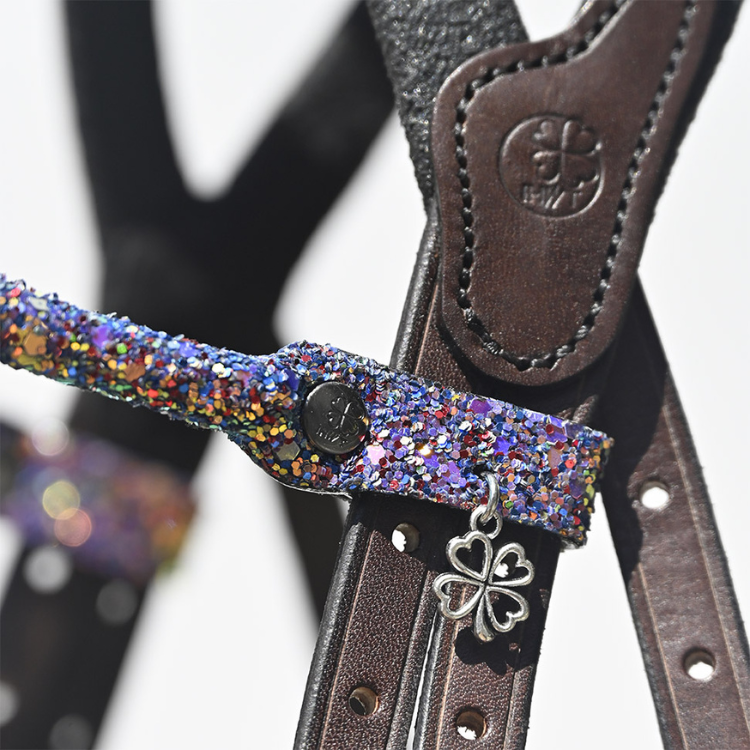 Frontal IHWT Disco Multicolore