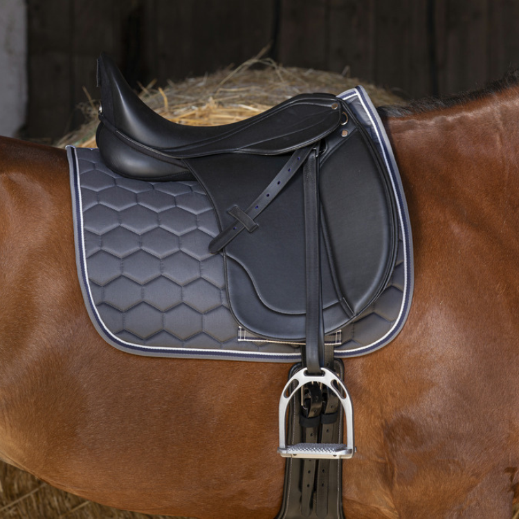 Selle De Dressage Norton Club Rexine Evol Noir