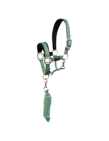 BR Mini Horse Halter with Lead Rope Feldspar