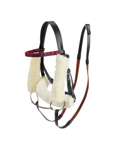 Ensemble de Bridons de Course Hobby Horse LeMieux