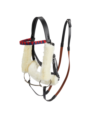 Ensemble de Bridons de Course Hobby Horse LeMieux