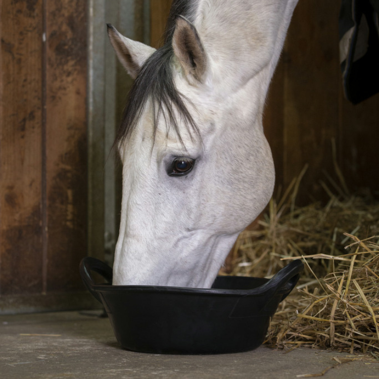 Seau Hippotonic Alimentaire Souple 12L Noir