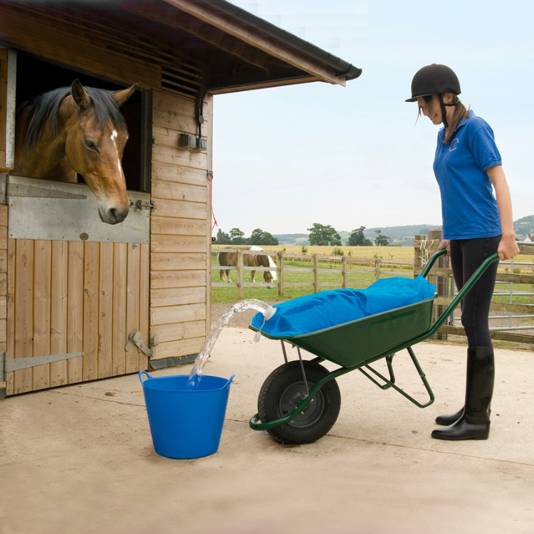 Vache À Eau Hippotonic H2Go