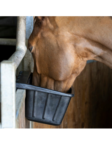 Mangeoire Hippotonic En Caoutchouc Noir