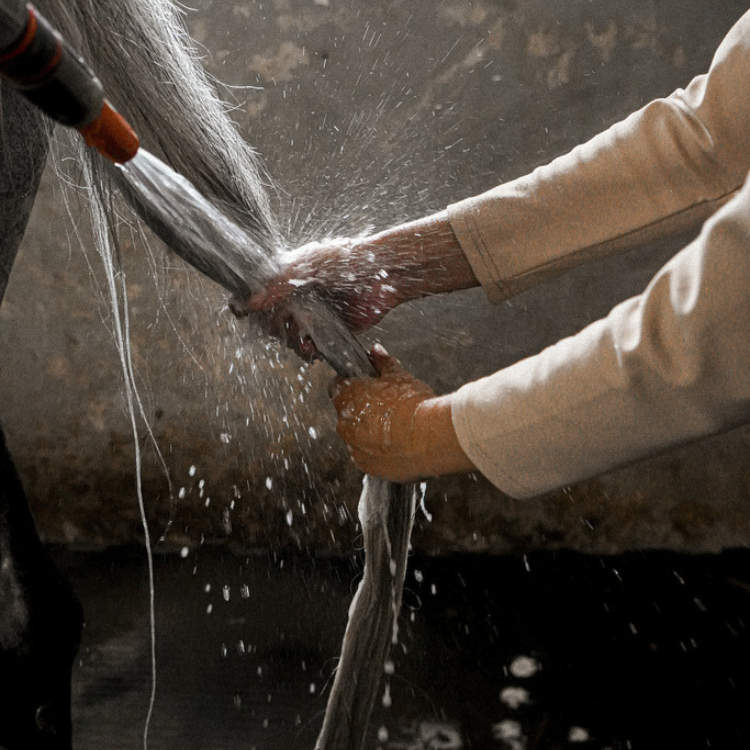 Shampoing Violet Rekor Super Grey 500ml