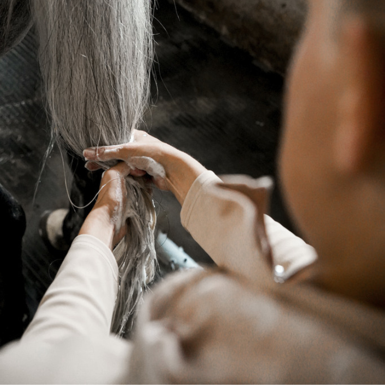 Shampoing Violet Rekor Super Grey 500ml