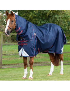 Premier Equine Akoni 0g Turnout Rug With Classic Neck Cover