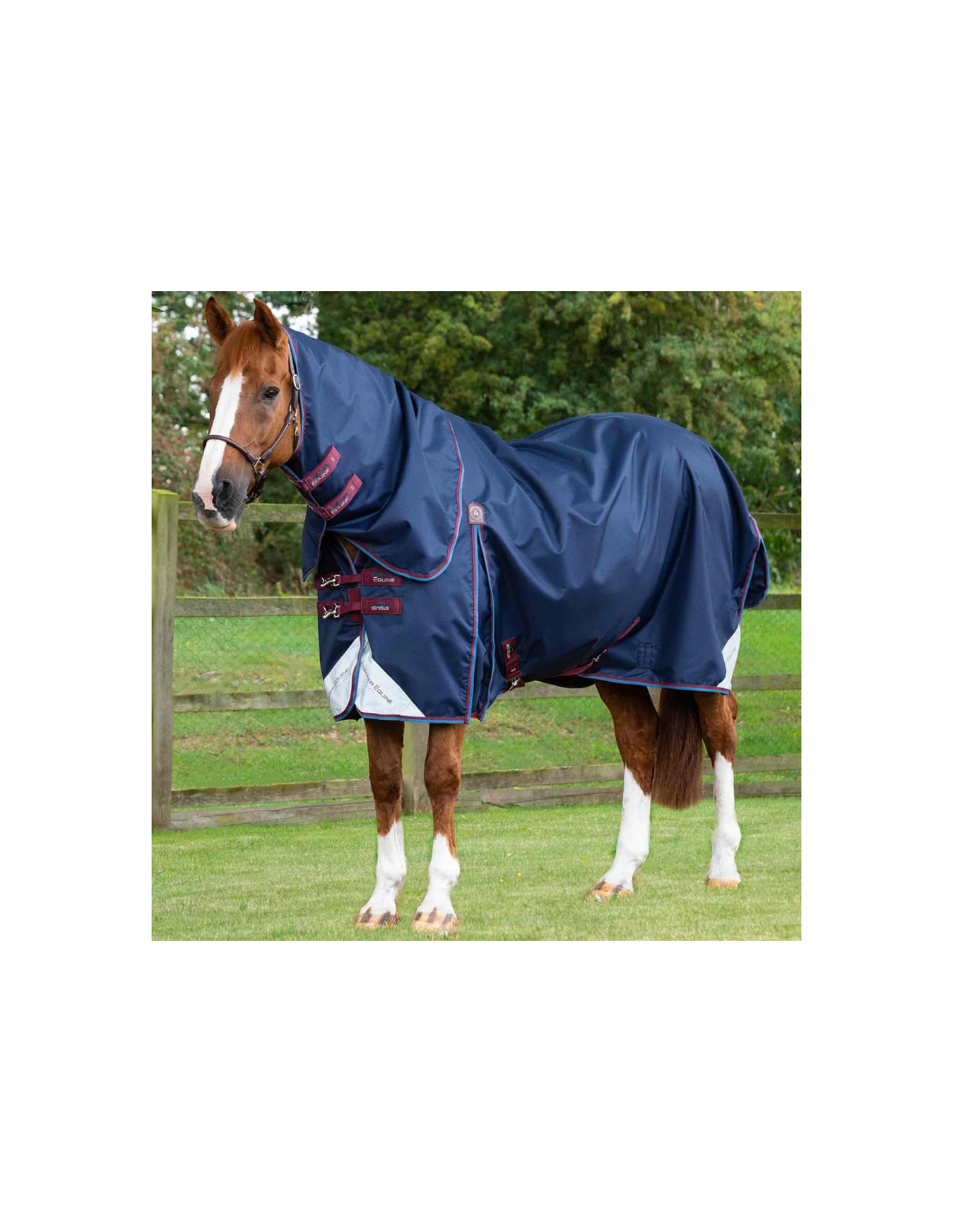Couverture Premier Equine Stratus 0g | Couvertures d'extérieur