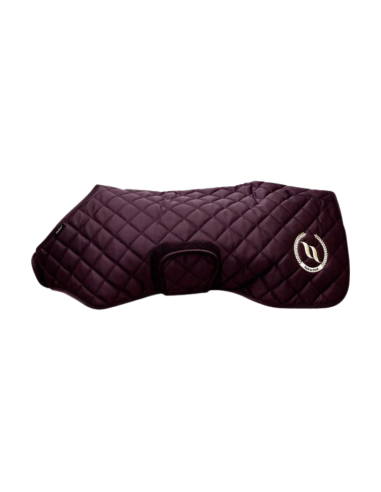 Manteau Pour Chien Back On Track Night Collection Bleu