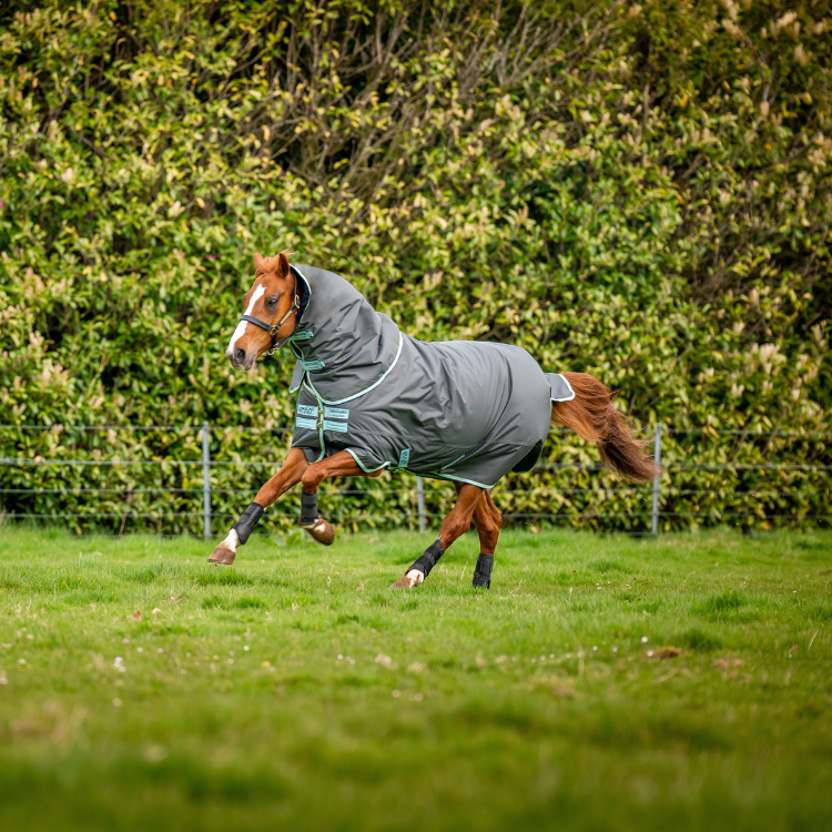 Couverture Horseware Amigo Hero Ripstop Plus 200g grise