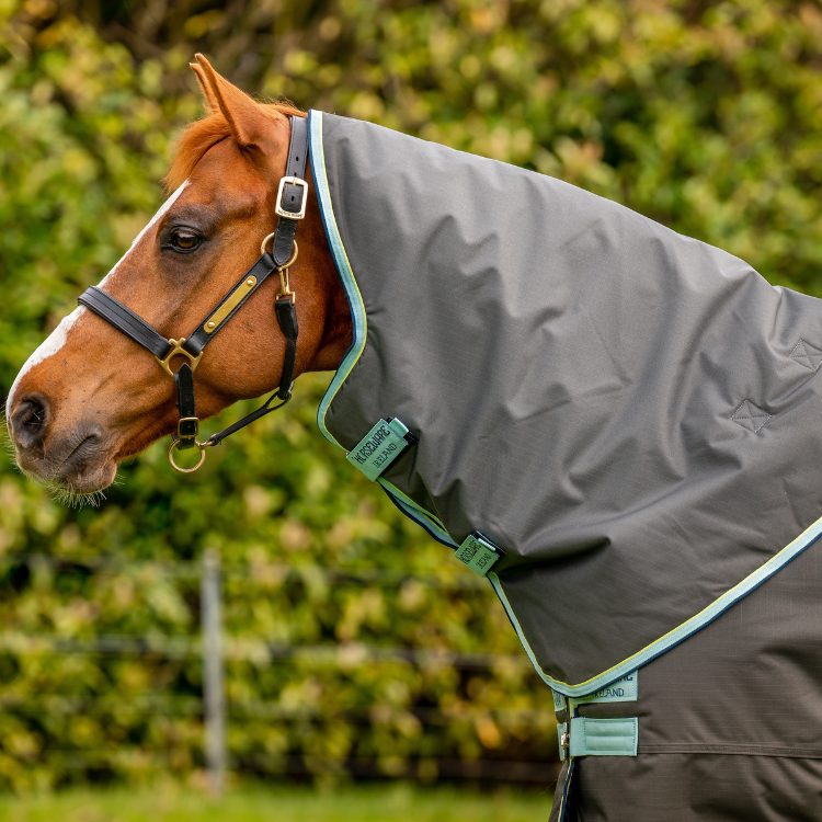 Couverture Horseware Amigo Hero Ripstop Plus 200g grise
