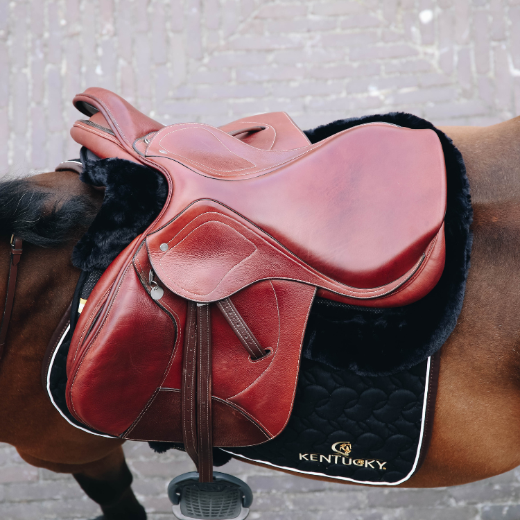 Amortisseur Kentucky Absorb Anatomique Mouton Noir