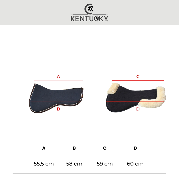 Amortisseur Kentucky Absorb Anatomique Mouton