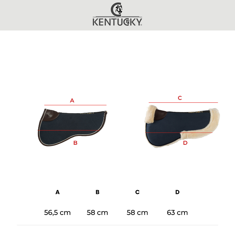 Amortisseur Kentucky Absorb