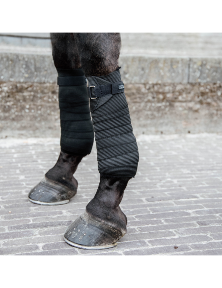 Bandes de Polo Elastiques Kentucky Noir