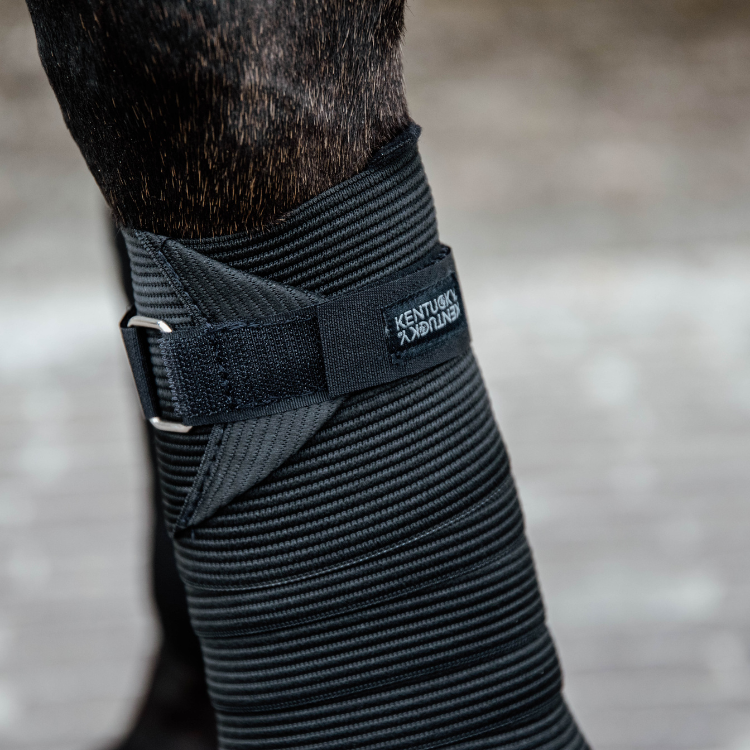 Bandes de Polo Elastiques Kentucky Noir