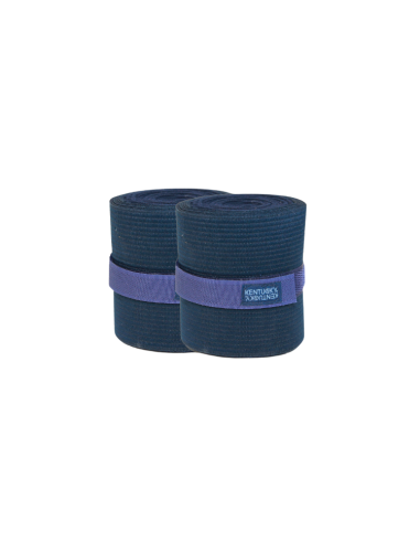 Kentucky Elastic Polo Bands Navy