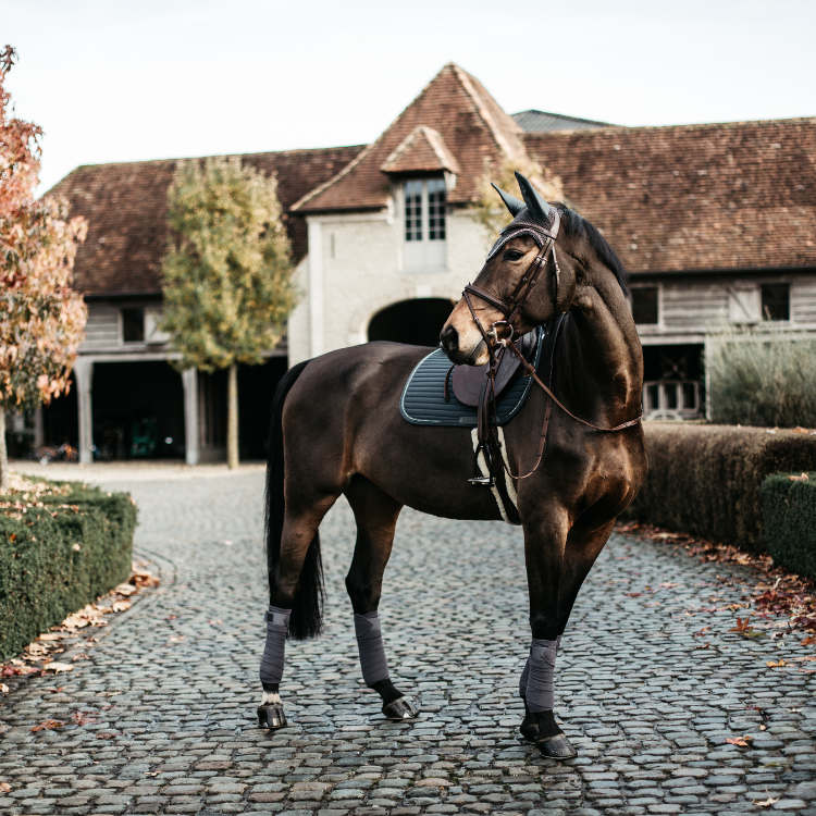 Bandes de Polo Polaire Kentucky Gris