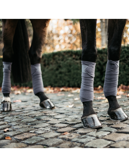 Bandes de Polo Polaire Kentucky Gris