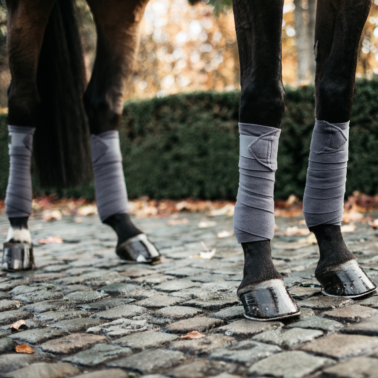 Bandes de Polo Polaire Kentucky Gris