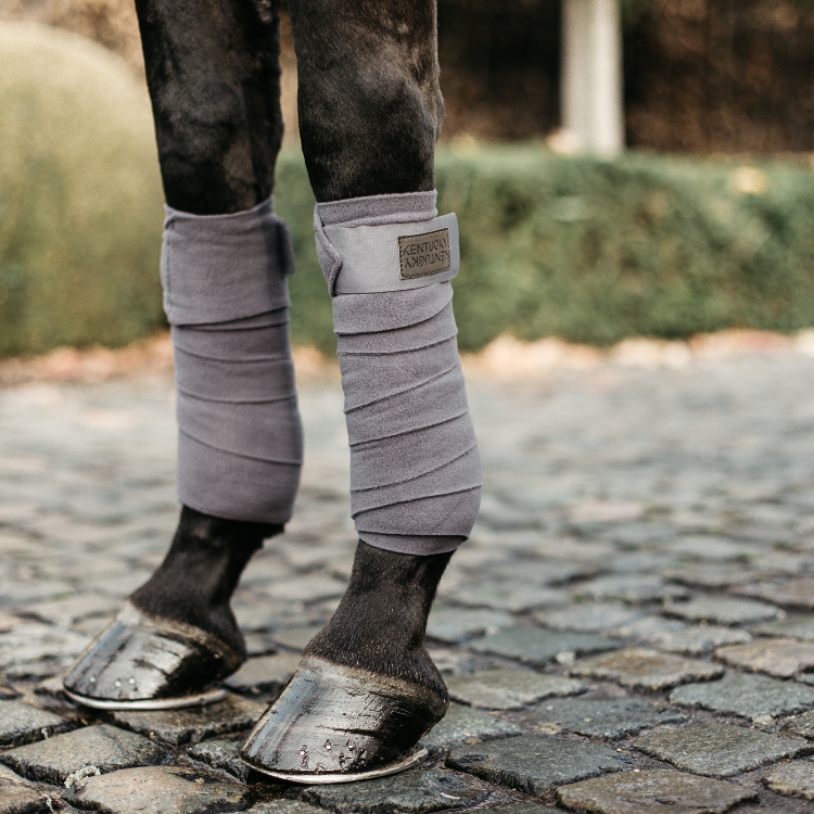 Bandes de Polo Polaire Kentucky Gris