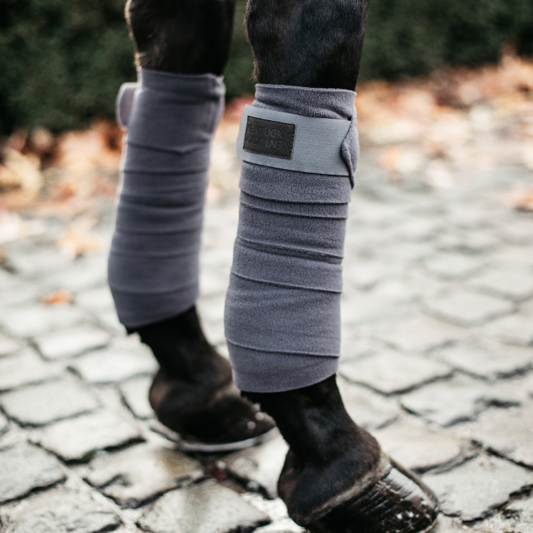 Bandes de Polo Polaire Kentucky Gris