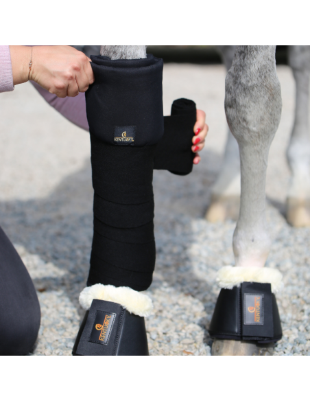 Bandes De Repos Kentucky Noir