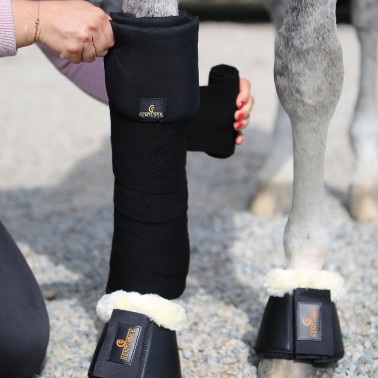 Bandes De Repos Kentucky Noir