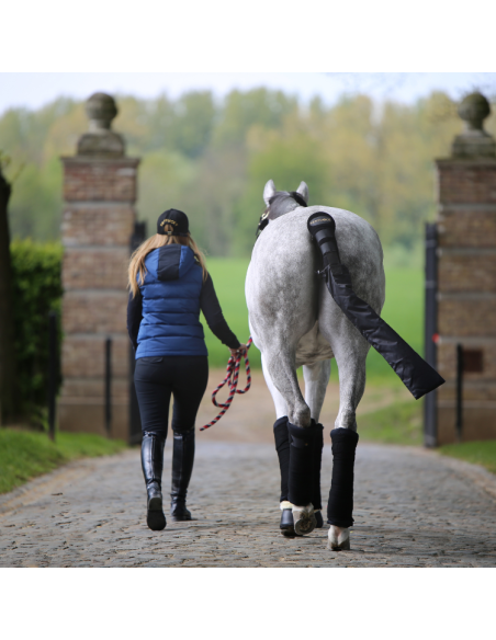 Bandes De Repos Kentucky Noir